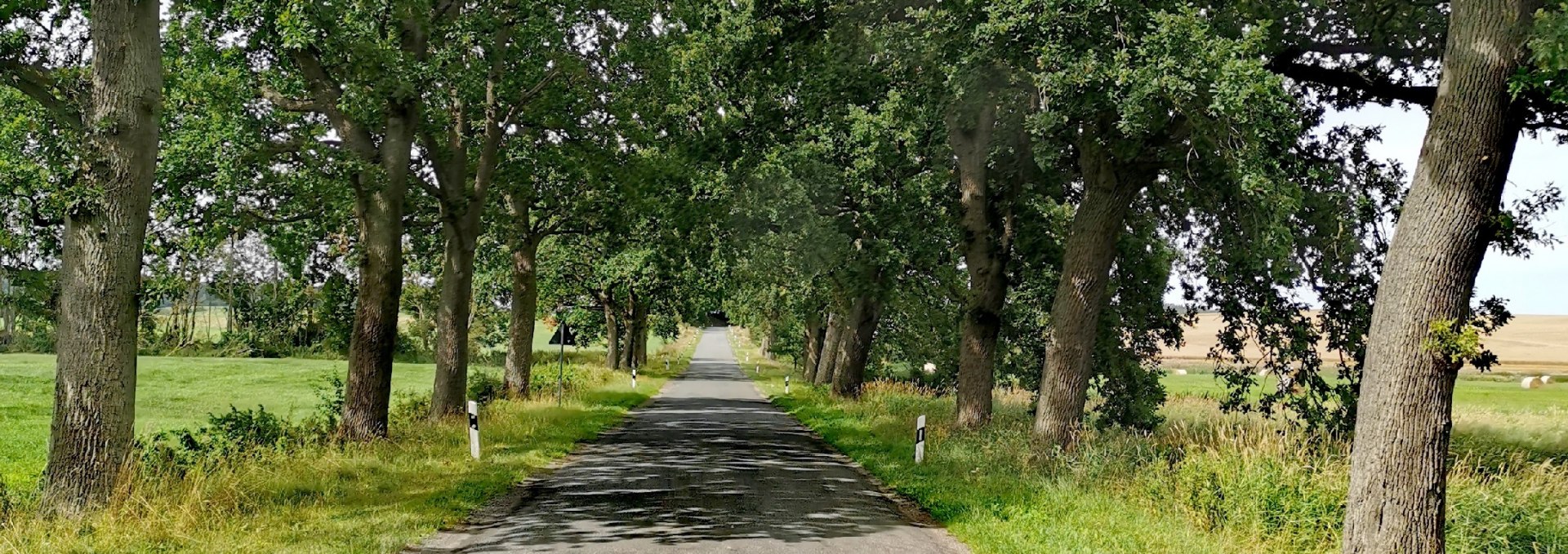 Avenue near Bristow, © E-Bike MV