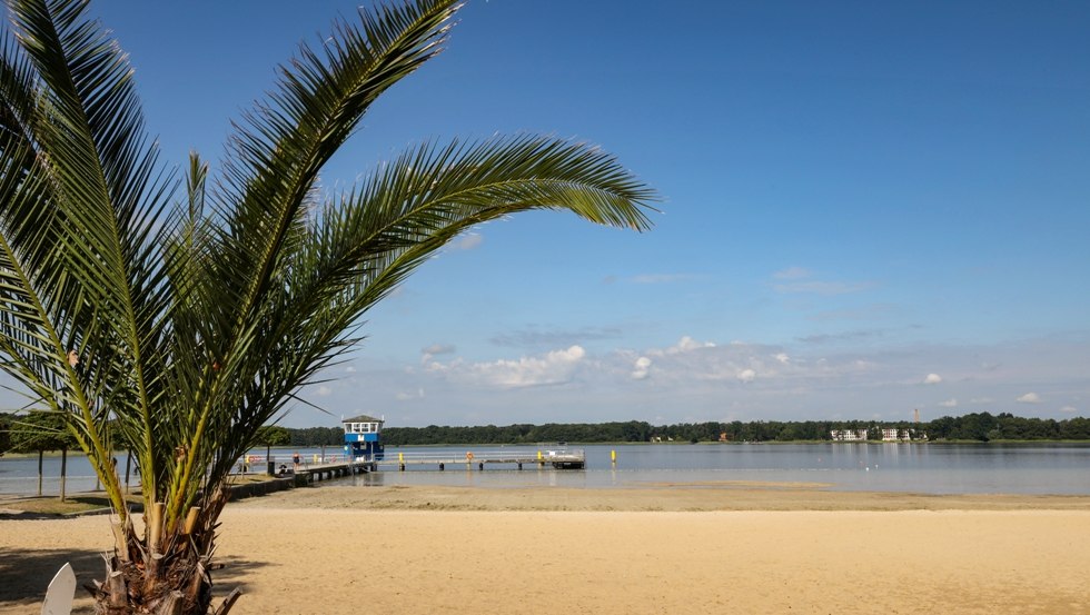 Barracuda Beach at Lake Neustadt_9, © TMV/Gohlke