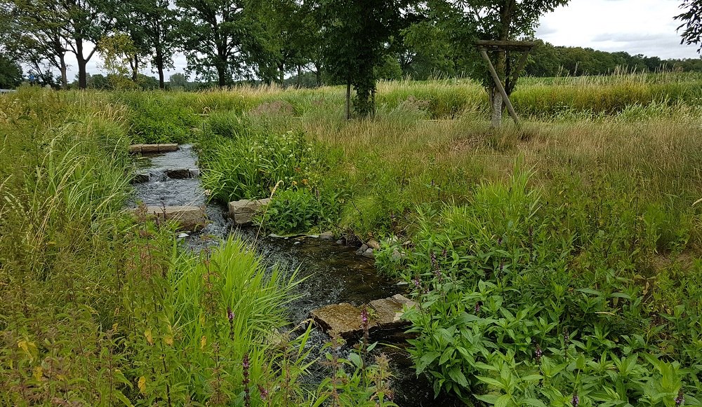 Fish ladder Goldenstädt - The rest area is located directly on the Lewitz Cycle Route., © Verein Lewitz e.V.