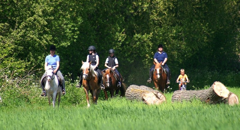 On the sunny island of Usedom at the Jaddatz farm experience his riding vacation, © Hof Jaddatz/ Madlen Hamfler-Jaddatz