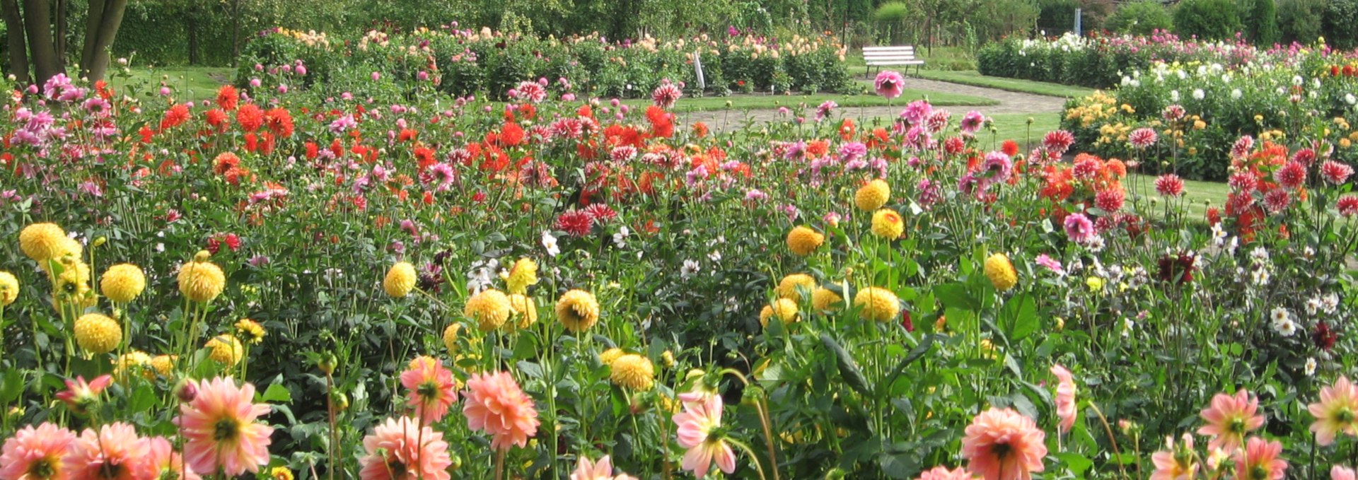 Museum Garden, © Kultur- und Heimatverein Bad Sülze e.V.