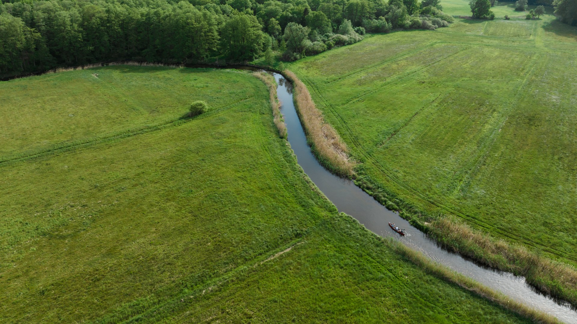 Meadows and forests as far as the eye can see surround the banks of the Warnow, which flows over 150 kilometers across Mecklenburg-Vorpommern., © TMV/Gross