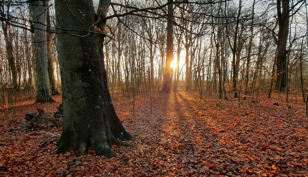 Estate park in the fall, © Familie Burmester