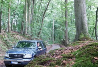 Hollow way near Dudendorf in the Recknitz valley, © Oliver Hellweg