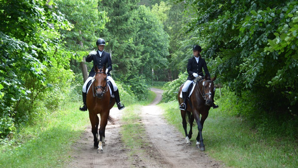 Horseback riding with Reiterhof Groß-Stubben means above all enjoying nature, © Reit- und Fahrverein Poseritz e.V./ Thomas Krimmling