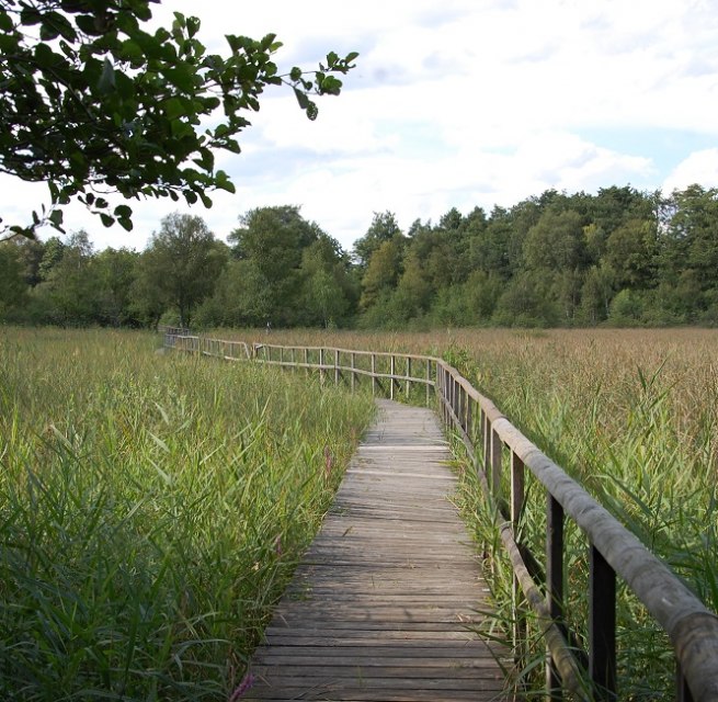 The trail leads through sections of forest and across wet meadows., © Gabriele Skorupski