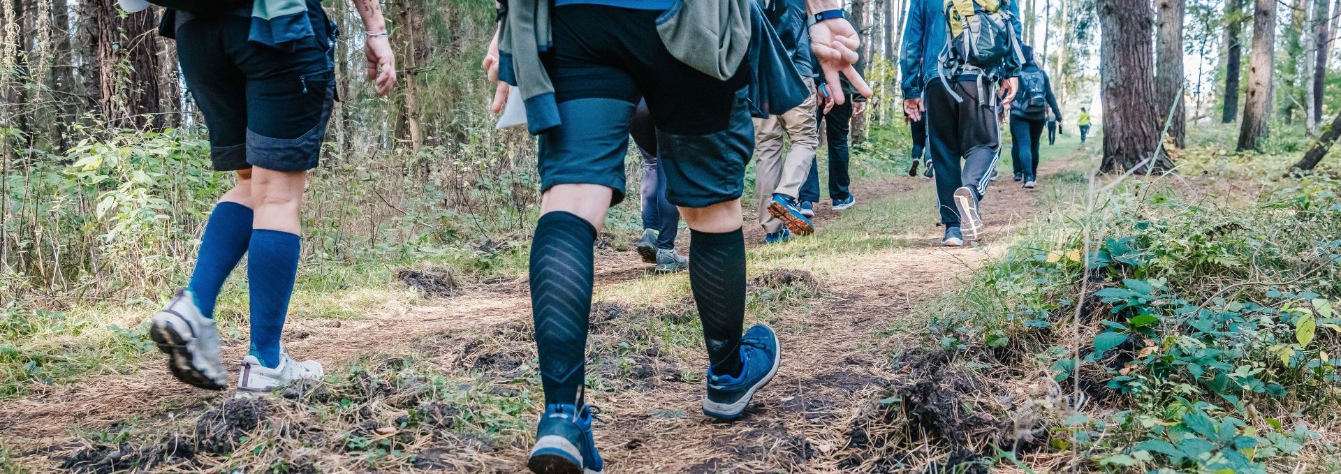 Hikers on the Rügen 2024 mega march through the forest, © TVR / Mirko Boy