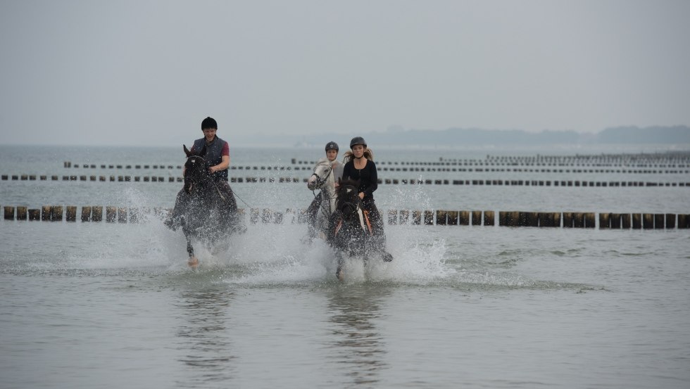 Reiterhof Gränert offers horseback rides to the Baltic Sea., © TMV/ Frank Hafemann