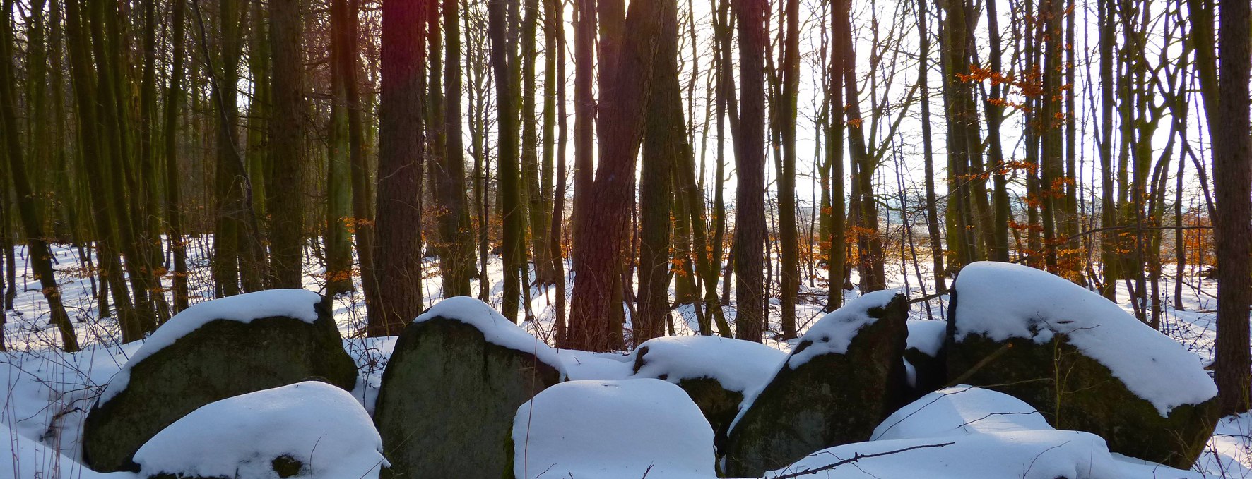 Winter romance at the megalithic tomb "Krampas" with snow-covered supporting stones, © Archäo Tour Rügen