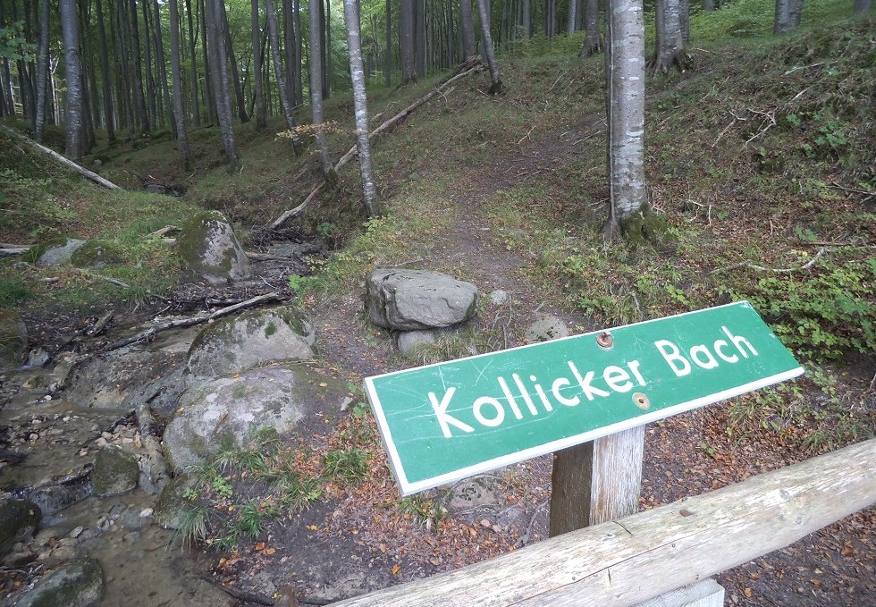 Kollicker Bach in Jasmund National Park, © Tourismuszentrale Rügen