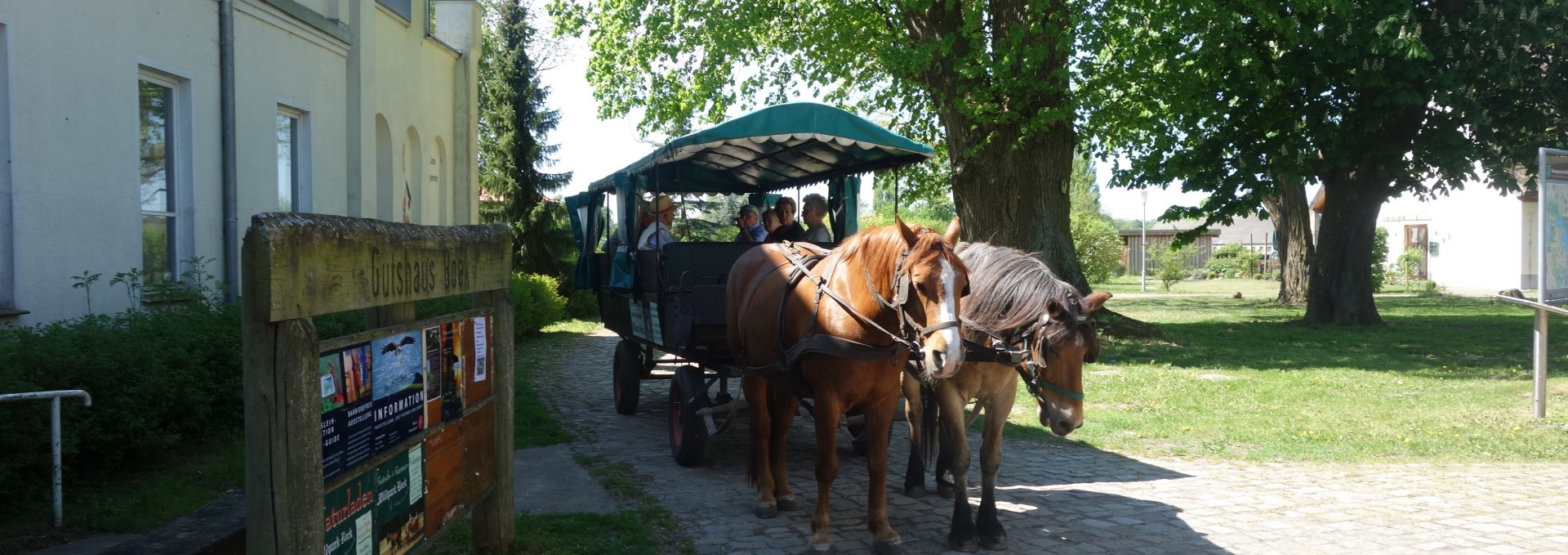 Boek Manor House, © TDG Rechlin mbH