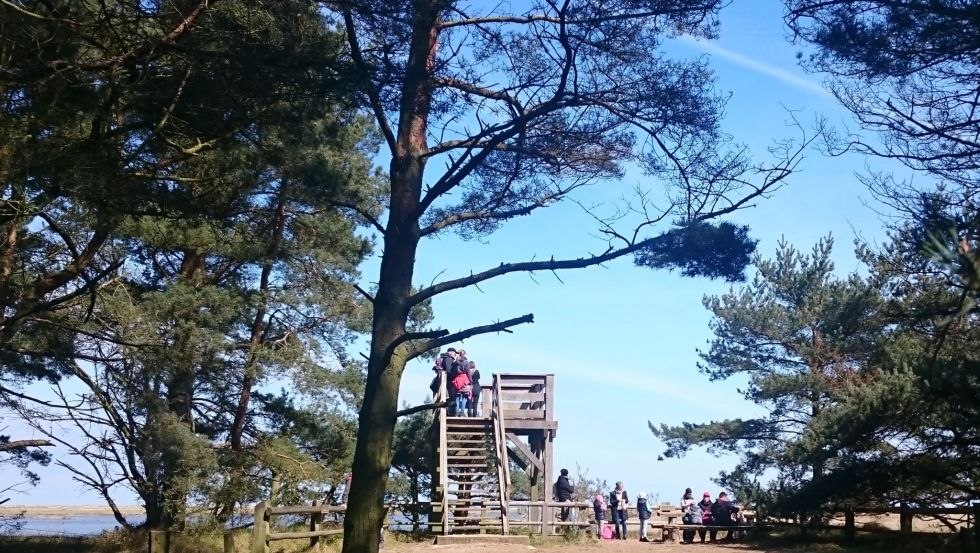 Viewing platform at Darßer Ort, © TMV/UB