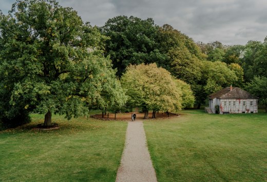 An idyllic walk through the park of the Romantik Hotel Gutshaus Ludorf: surrounded by old trees and green meadows, nature invites you to relax and unwind.