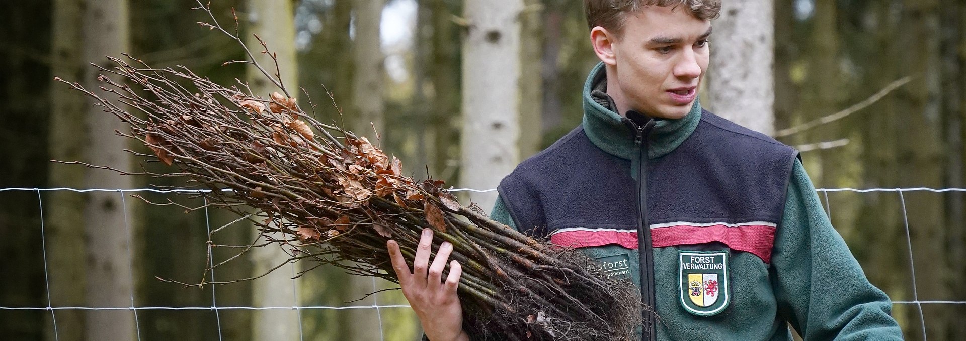 Planting campaign for the climate forest, © Landesforst MV