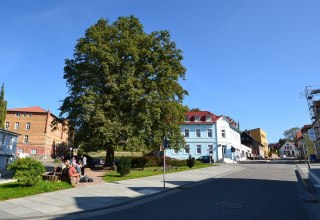 © Tourismuszentrale Rügen