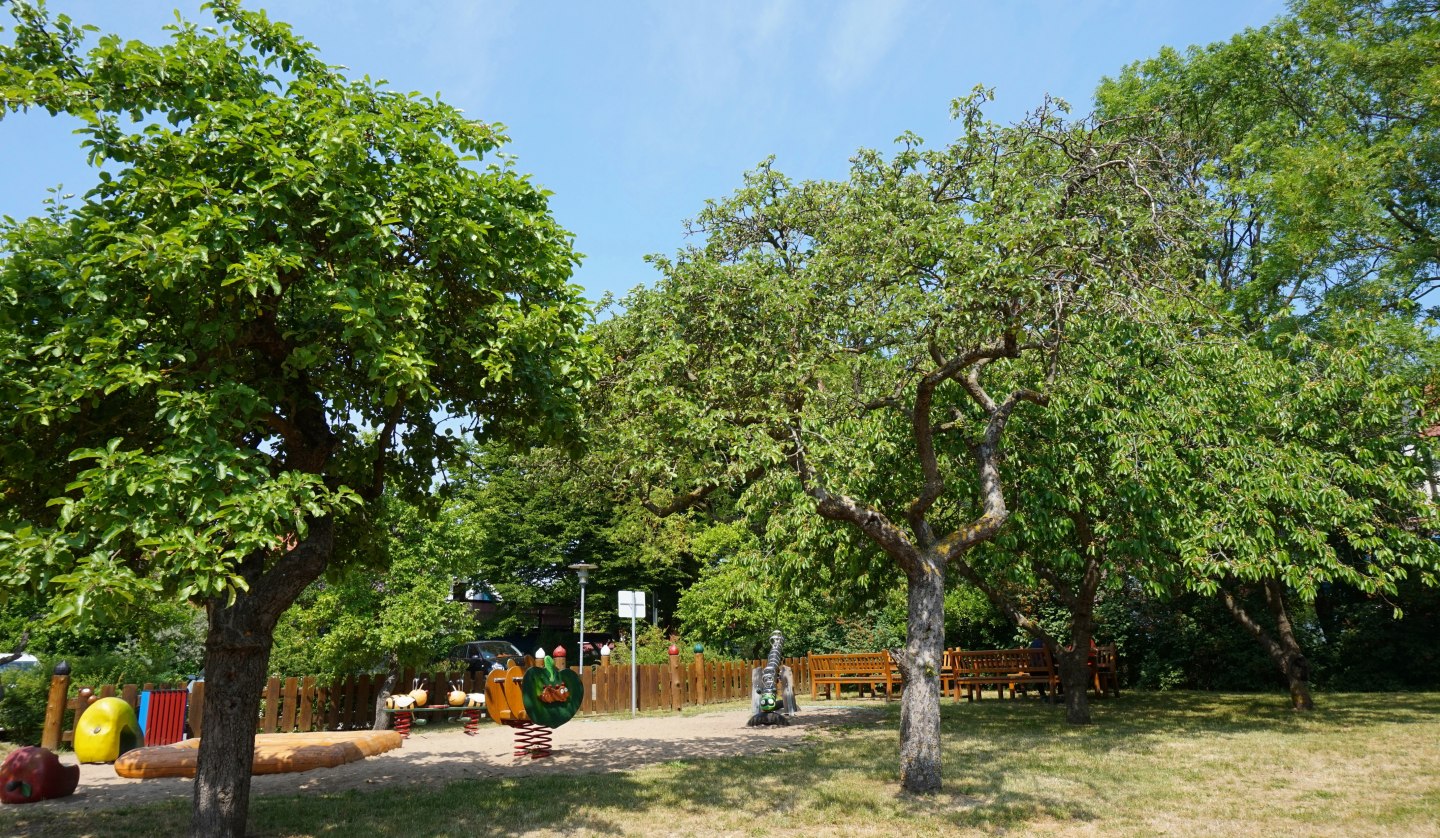 Orchard with playground behind the Haus des Gastes, © Cindy Wohlrab / KVW Wustrow