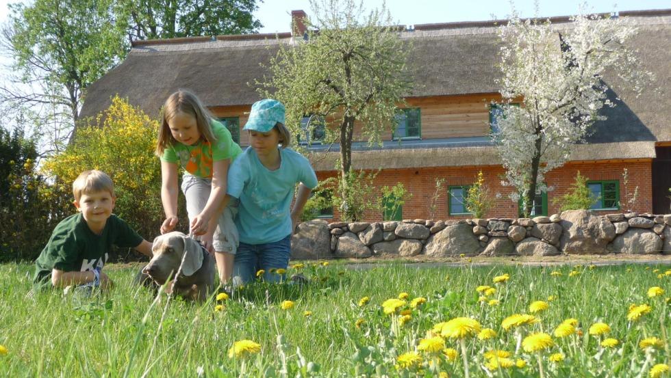 Vacation for the whole family on the farm, © Ostsee-Bauernhof-Hocke