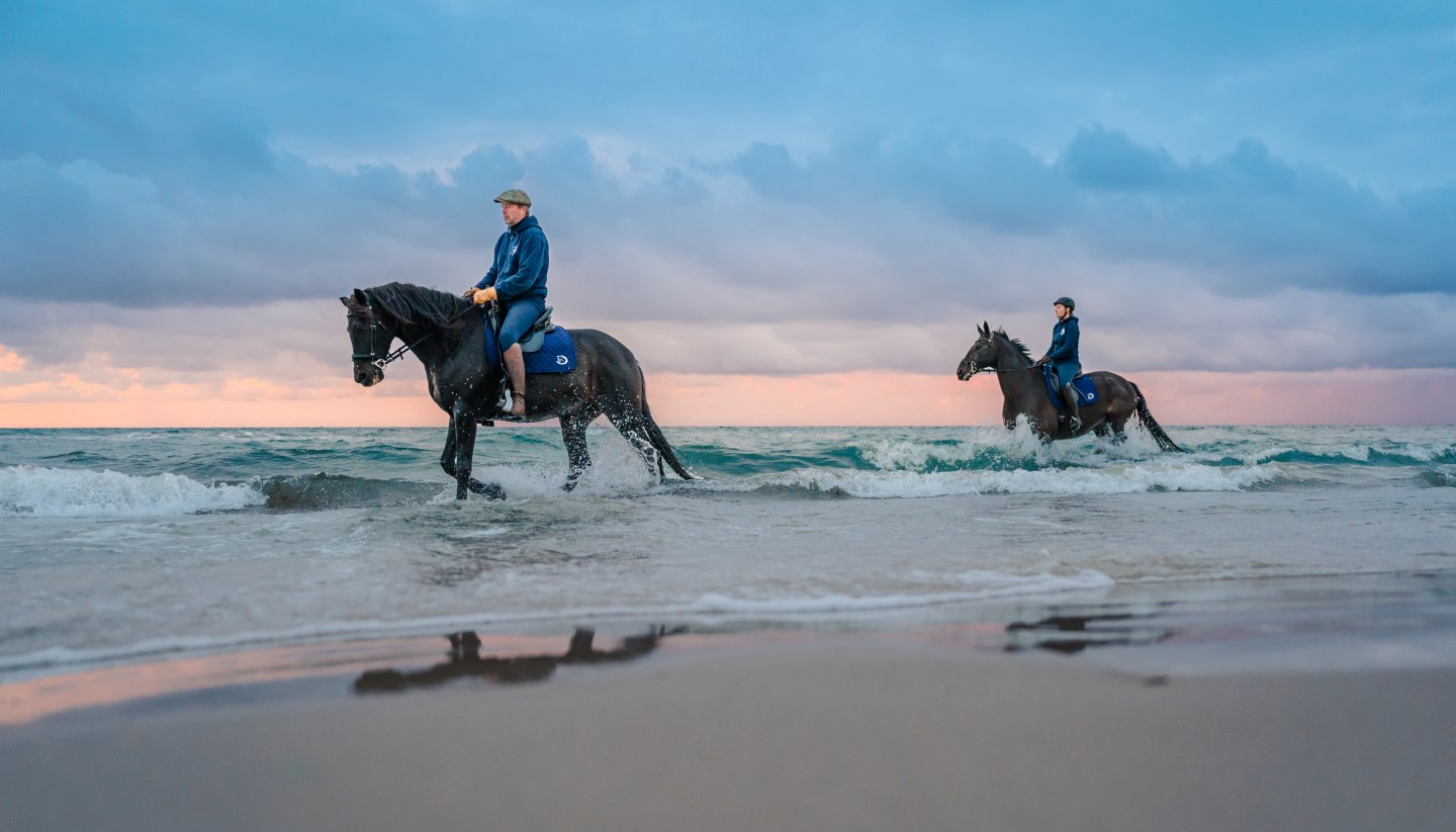 Fischland-Darß-Zingst, © TMV/Tiemann