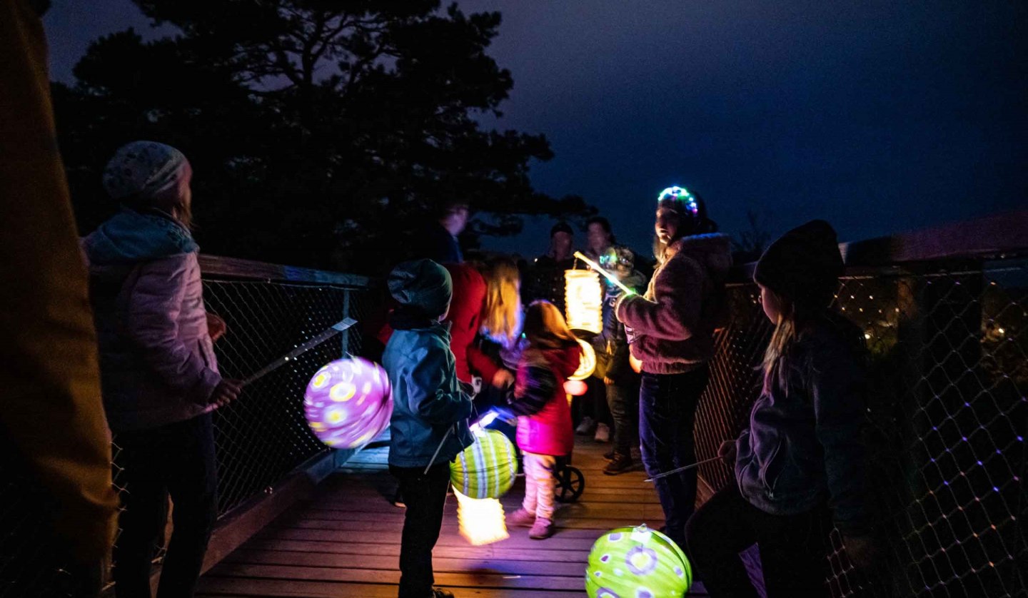 Lantern procession on the Usedom treetop walk, © Erlebnis Akademie AG / Baumwipfelpfad Usedom