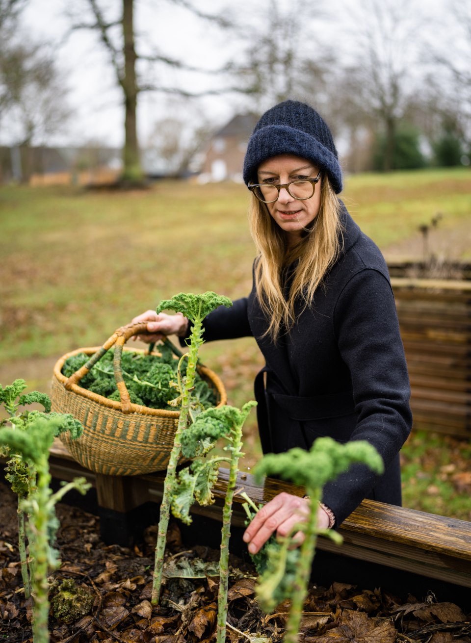 Picking herbs in your own garden, © TMV/Gross