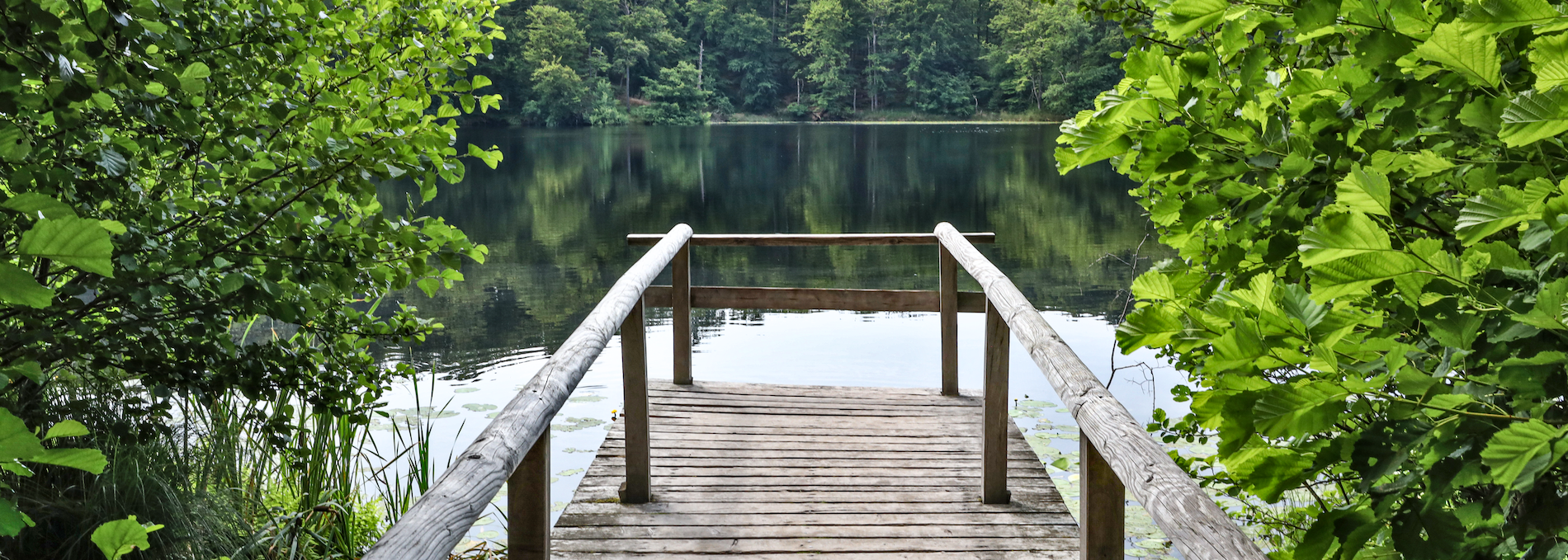 black-lake-in-the-granitz_1, © TMV/Gohlke