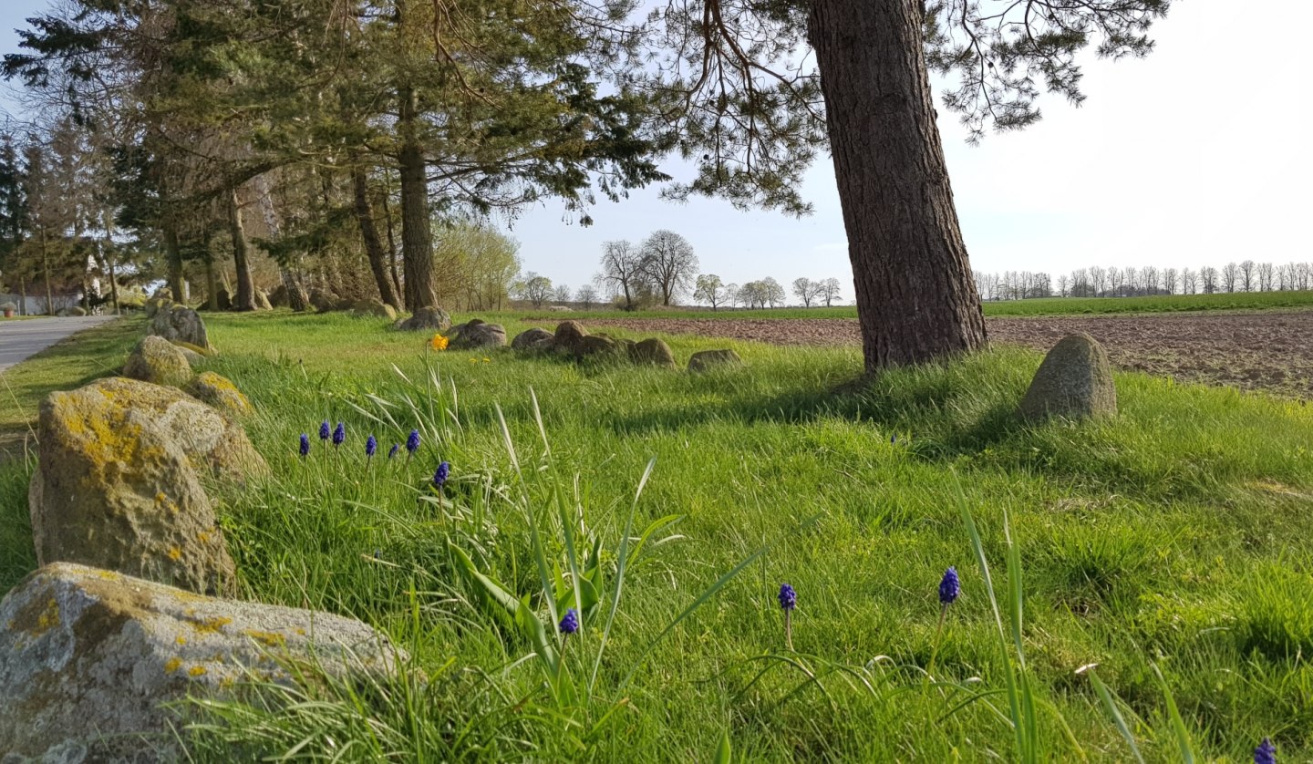 Hunebed Stralendorf, © Tourismusverband Mecklenburg-Schwerin