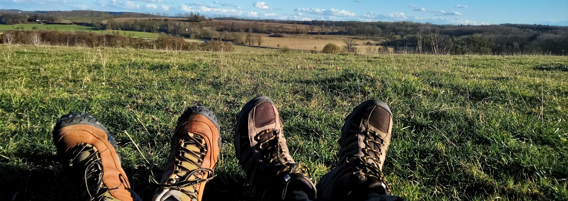 Panorma view from the hiking trail to the High Wood, © Jana Koch