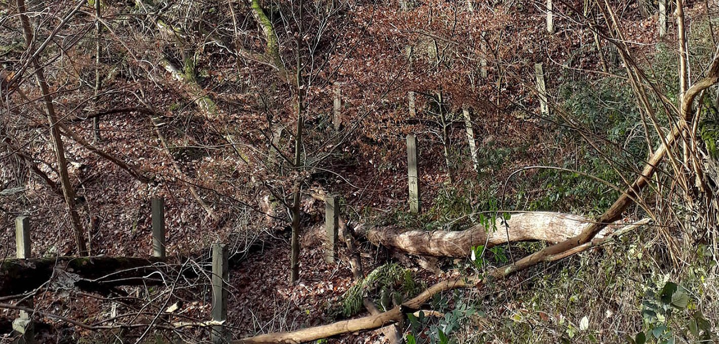 Silent witnesses to the past: remnants of the concrete pillars of the double-row barbed wire fence on Kerbtalweg, © Biosphärenreservatsamt Schaalsee-Elbe