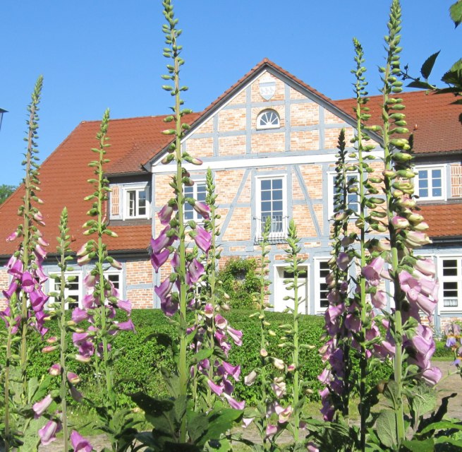 Manor Alt-Guthendorf Park, © Gutshof Alt Guthendorf/Topp