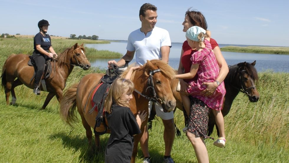 Horseback riding, © LANDURLAUB M-V/Horn