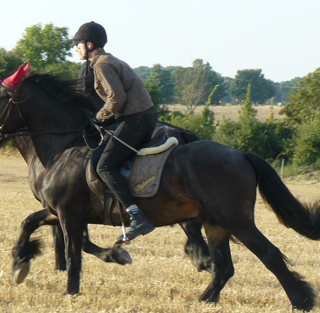 Horseback ride through the beautiful nature, © Ponyhof Rügen