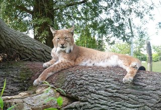 © Tierpark Wismar