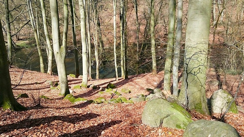 Rocks of various sizes are found in the Warnow breakthrough valley, © TMV