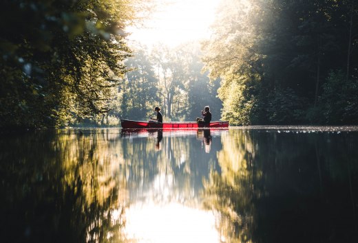 Book exciting experiences in Mecklenburg-Vorpommern and discover the diversity of the region. Whether water sports, nature explorations or cultural highlights - here you will find activities for every taste. For example, a canoe tour with friends or family on the lake.