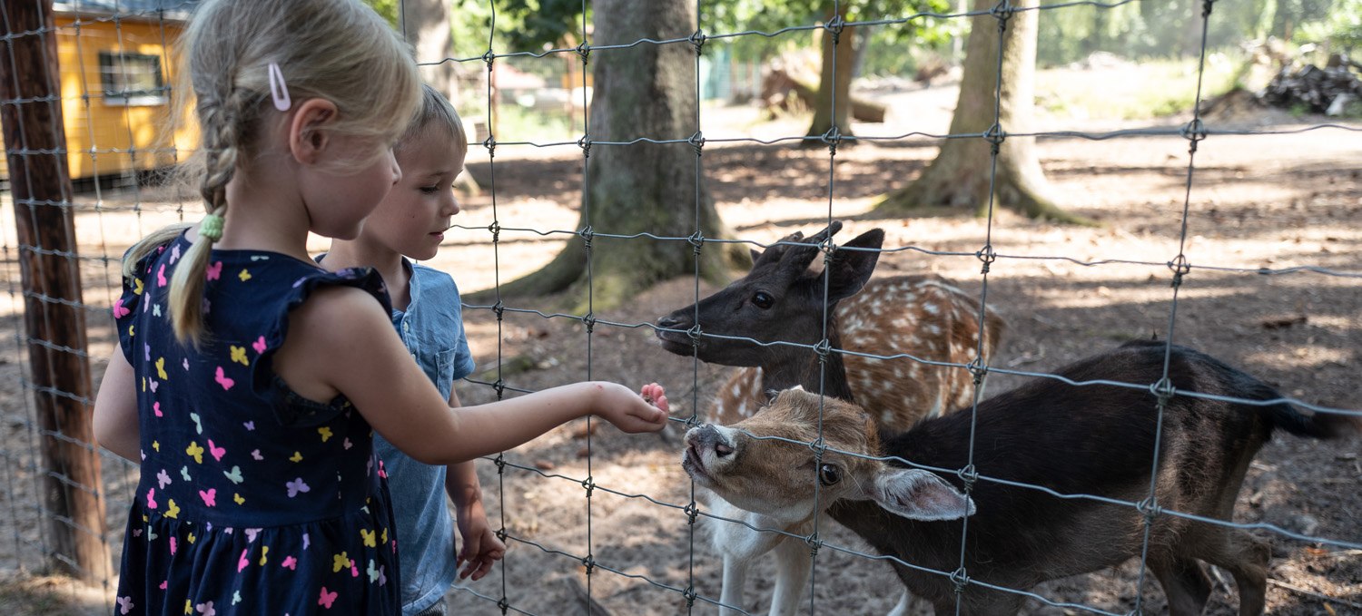 Zoo, © Stadt Neustrelitz/ Perez