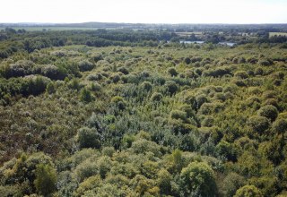 Climate Forest Biosphere Reserve Schaalsee, © Landesforst MV