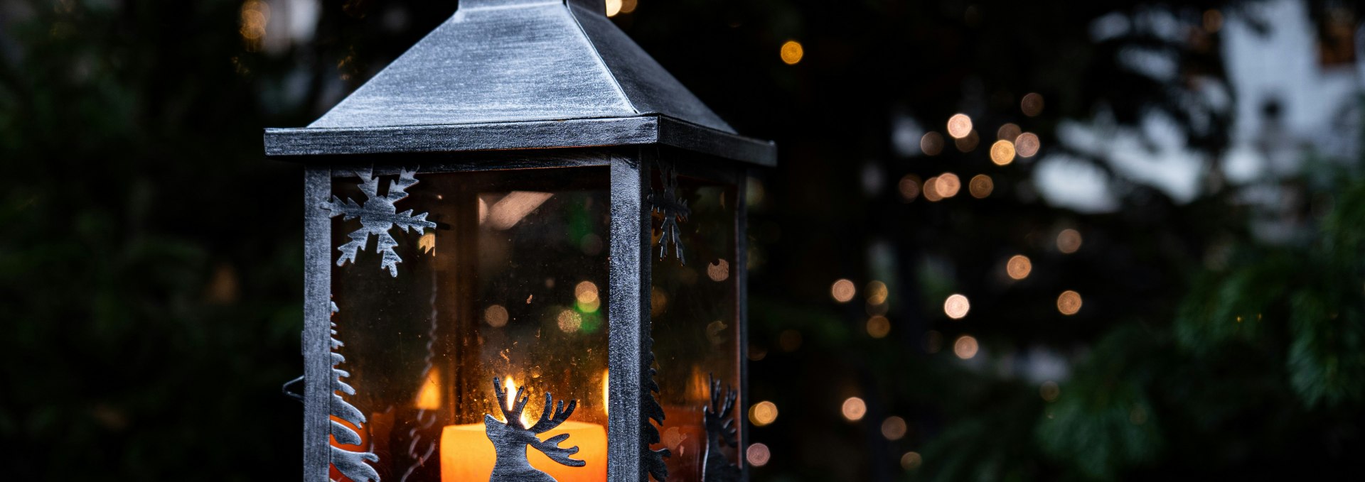 Advent in the park | Saturdays: Winter magic & family time, © Foto von Ceren auf Unsplash