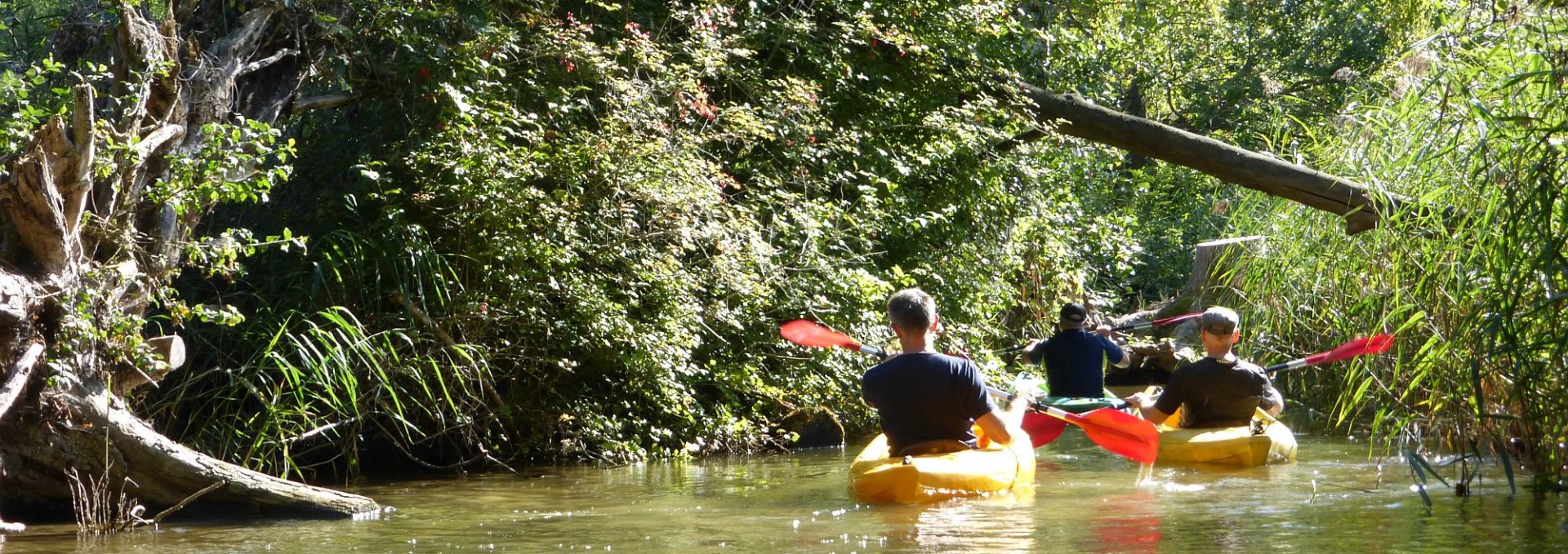 Paddling on the Mildenitz, © Kanucamp Borkow