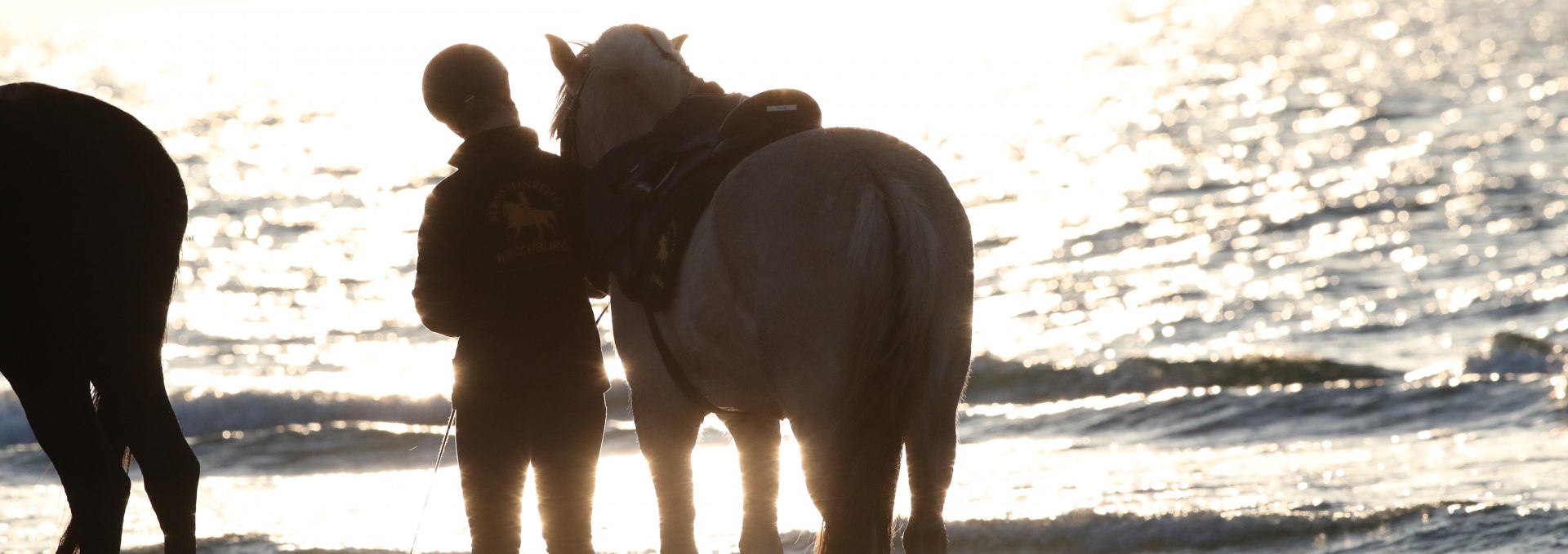 Horse riding on the beach, © TMV/ACP Pantel