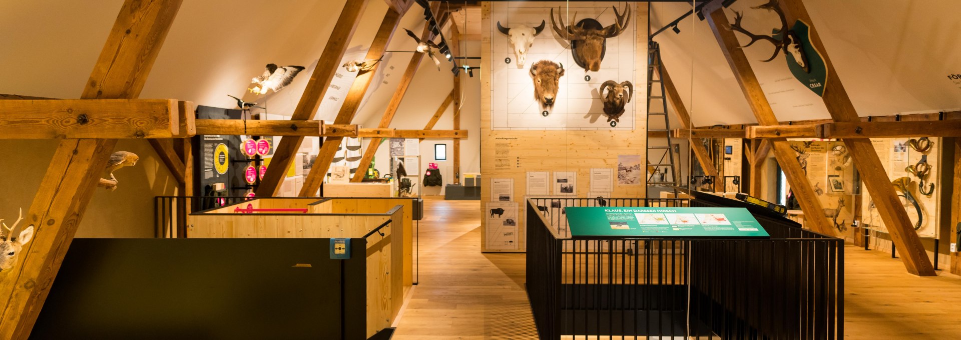 Forst- und Jagdmuseum (4)-min, © Moritz Kertzscher