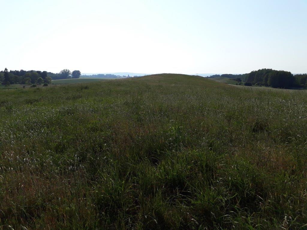 Sommersdorfer Os, view towards Lake Kummerow, © A. Groh