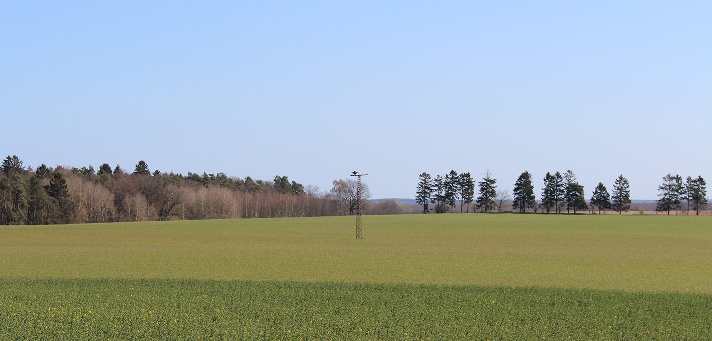 View of the inhabited eyrie, © Kur- und Tourismus GmbH Göhren-Lebbin