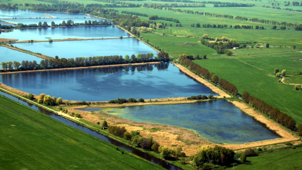 Bird's eye view of the Lewitz fish ponds., © Tourismusverband Mecklenburg-Schwerin e.V. / Ralf Ottmann