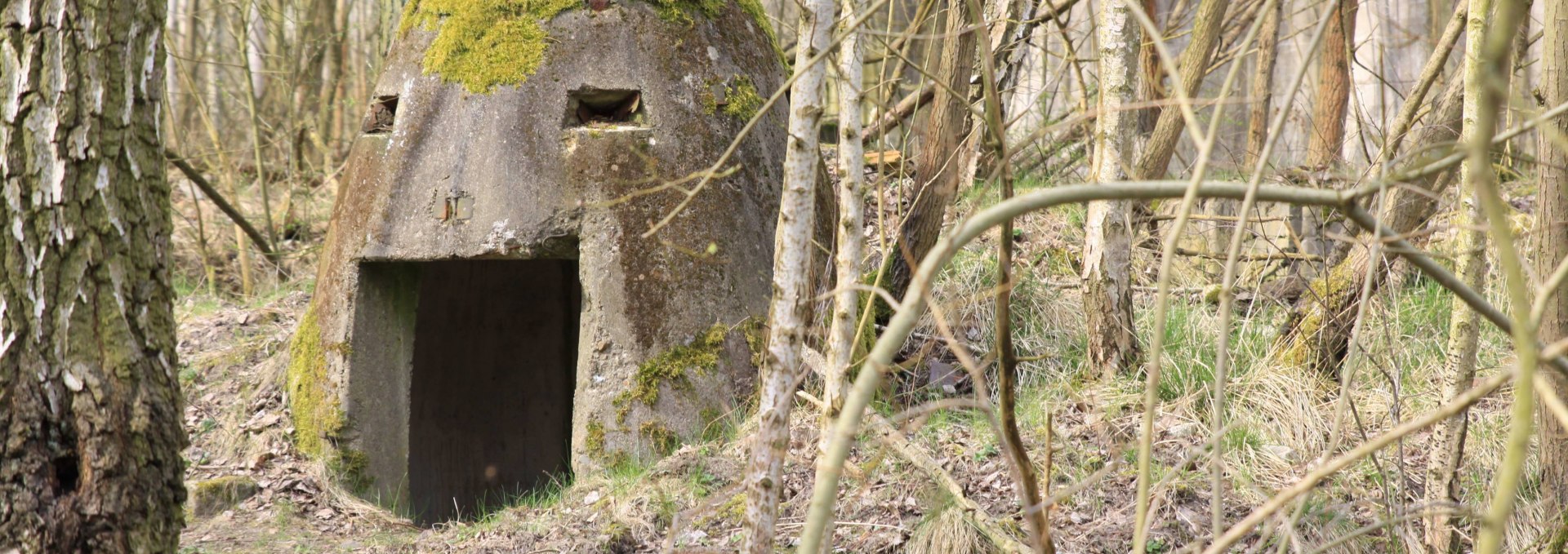 Ruin of the former hydrogenation works, © Pomorze Zachodnie