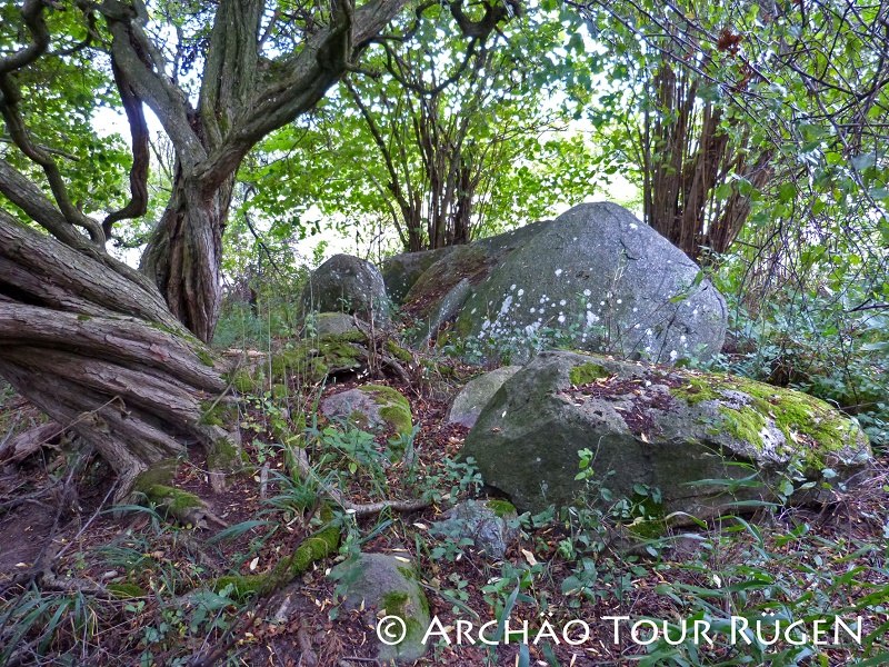 Hidden in the bushes are the remains of the large stone grave "Teetsbusch"., © Archäo Tour Rügen