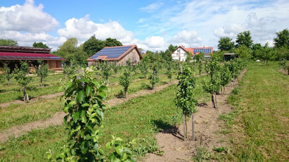 The spacious grounds invite you to stroll around, © Archiv, Biosphärenreservatsamt Schaalsee-Elbe