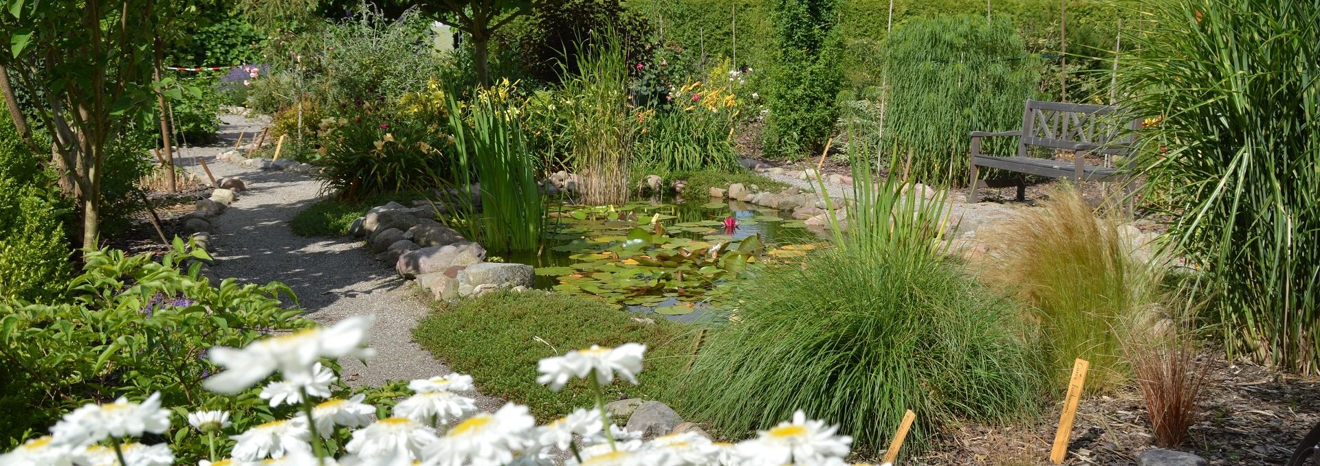 Quiet seating by the garden pond, © Kevin Hager (Baumschule Hager)