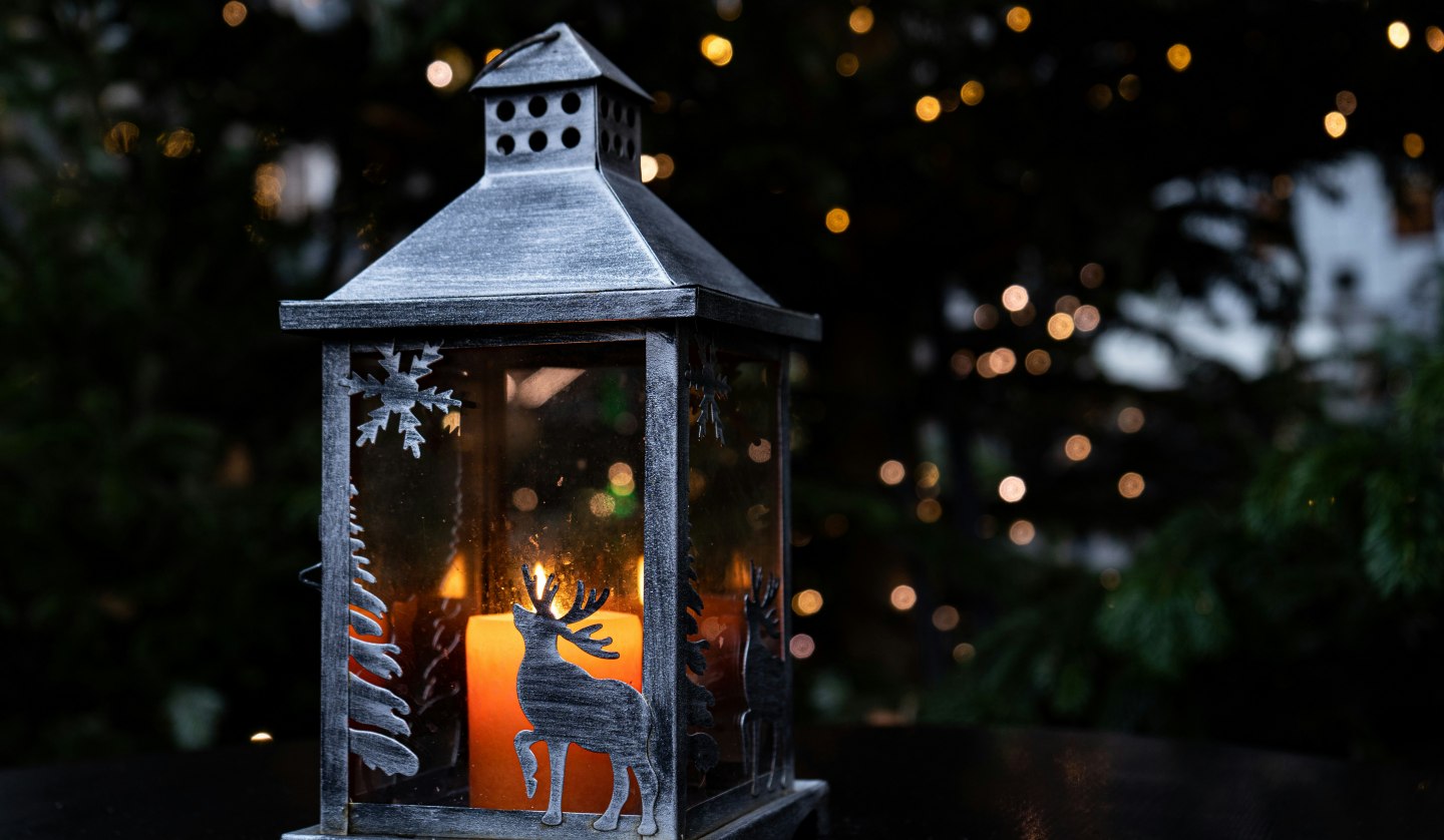 Advent in the park | Saturdays: Winter magic & family time, © Foto von Ceren auf Unsplash