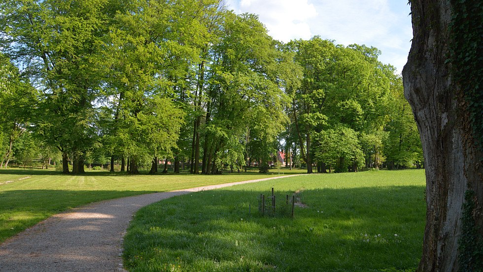 View of the landscape park, © Tourismusverband Mecklenburg-Schwerin