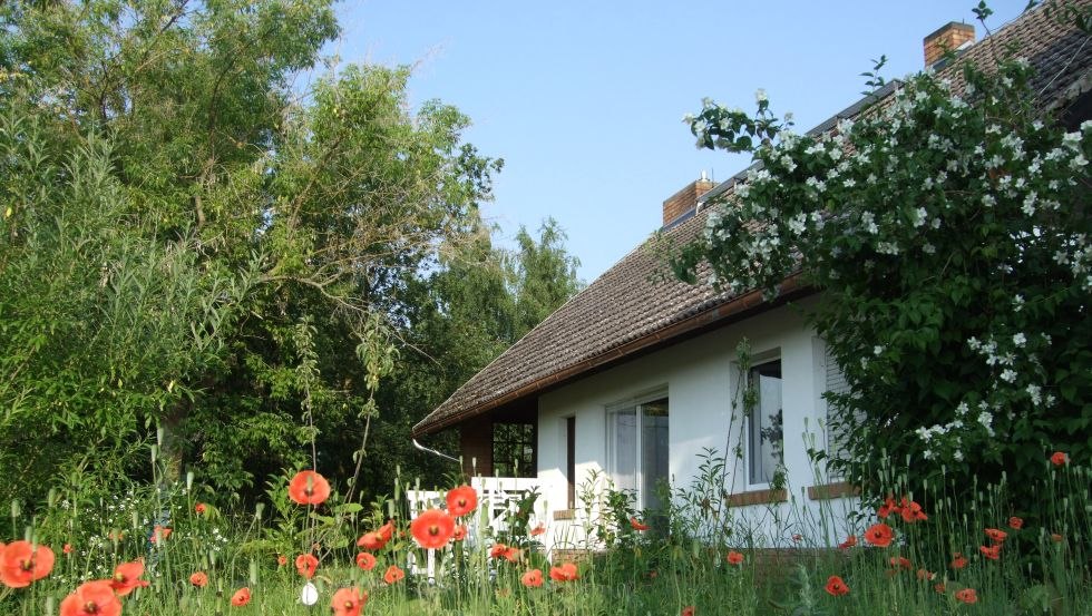 Ahlbeck academy immersed in red glowing poppies, © Akademie Ahlbeck/Henrich